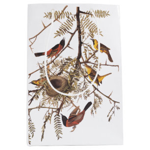 Sac Cadeau Moyen Orchard Oriole Birds avec Nest Audubon