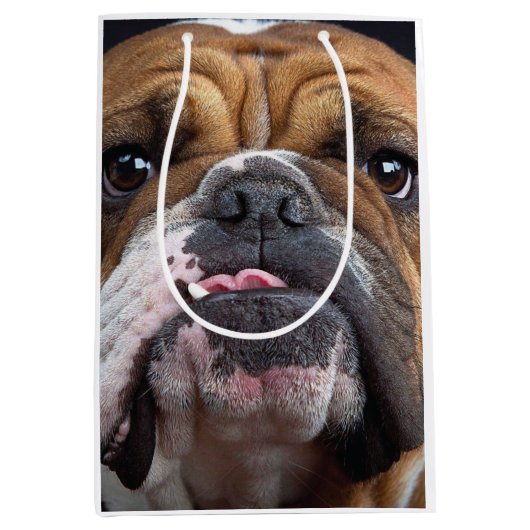 Sac Cadeau Moyen Oreillers à lancer de Bulldog anglais (Devant)