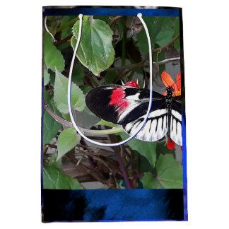 Sac Cadeau Moyen Papillon queue de zèbre