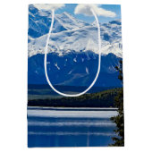 Sac Cadeau Moyen Parc national de Denali, Alaska (Devant)