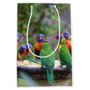 Sac Cadeau Moyen Parrots colorés Arc-en-ciel Lorikeet Manger