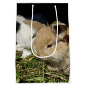 Sac Cadeau Moyen Petit lapin moelleux (Dos)