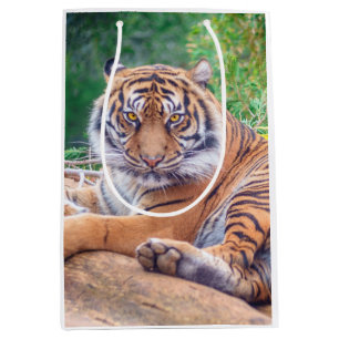Sac Cadeau Moyen Photo de tigre étonnante