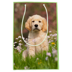 Sac Cadeau Moyen Photo d'un animal à visage de chiot, un joli chie