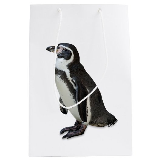 Sac Cadeau Moyen Pingouin (Devant)