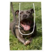 Sac Cadeau Moyen Pitbull dans l'herbe| Photo modifiable (Dos)