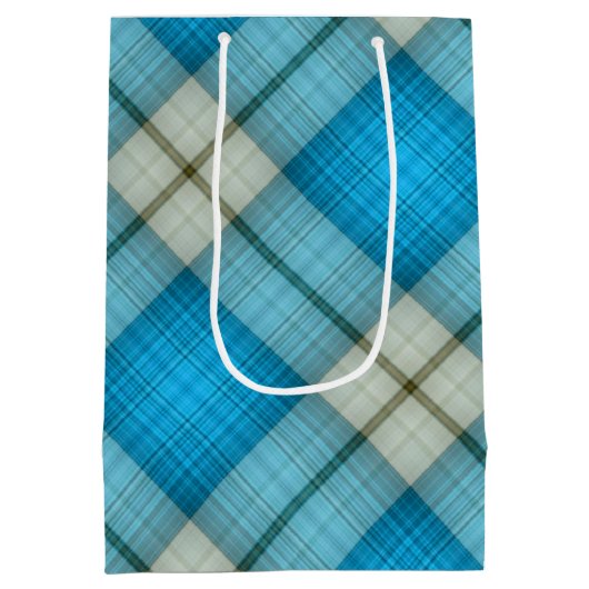 Sac Cadeau Moyen Plaid turquoise (Dos)