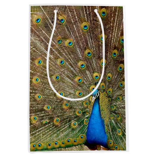Sac Cadeau Moyen Plumes de queue de paon (Devant)