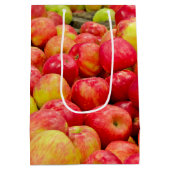 Sac Cadeau Moyen Pommes du Michigan (Dos)