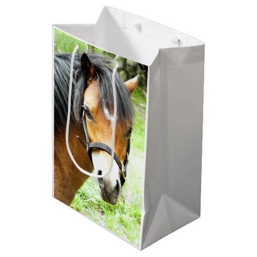 SAC CADEAU MOYEN PONY BROWN (Devant Angle)