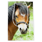 SAC CADEAU MOYEN PONY BROWN (Devant)