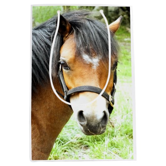 SAC CADEAU MOYEN PONY BROWN (Devant)