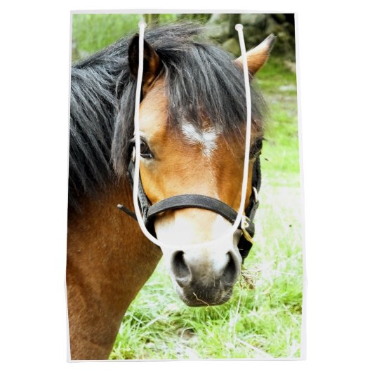 SAC CADEAU MOYEN PONY BROWN (Dos)