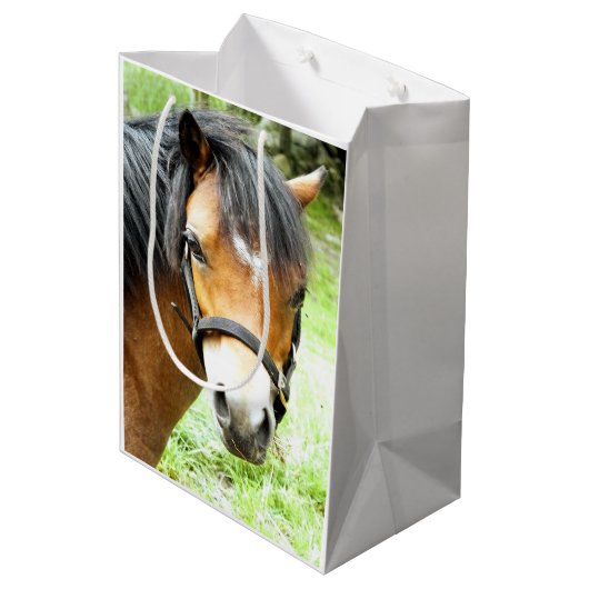 SAC CADEAU MOYEN PONY BROWN (Dos Angle)