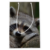 Sac Cadeau Moyen Raccoon (Devant)