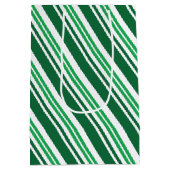 Sac Cadeau Moyen Rayure Menthe Verte (Dos)