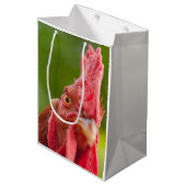 Sac Cadeau Moyen Rhode Island Red Rooster (Devant Angle)