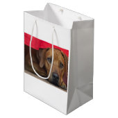 Sac Cadeau Moyen rhodesian-ridgeback (Devant Angle)