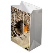 SAC CADEAU MOYEN ROBIN (Devant Angle)