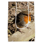 SAC CADEAU MOYEN ROBIN (Dos)