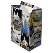 Sac Cadeau Moyen Sacs-cadeaux en papier imprimé pour chats (Devant Angle)