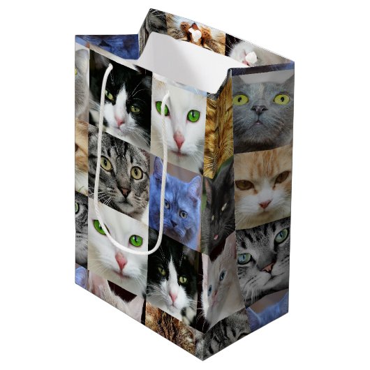 Sac Cadeau Moyen Sacs-cadeaux en papier imprimé pour chats (Devant Angle)