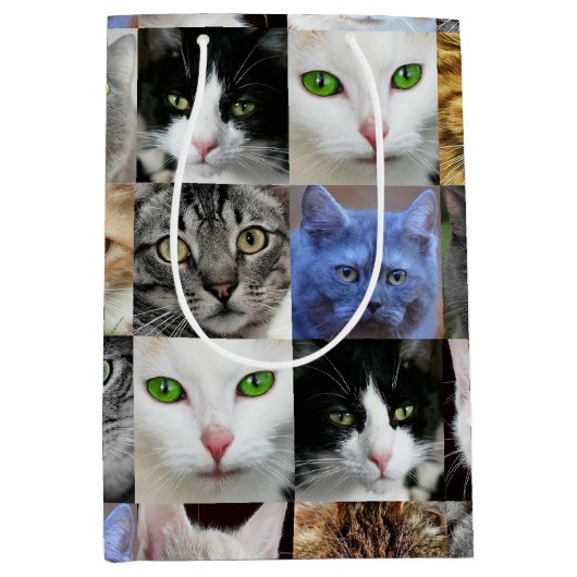 Sac Cadeau Moyen Sacs-cadeaux en papier imprimé pour chats (Devant)