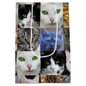 Sac Cadeau Moyen Sacs-cadeaux en papier imprimé pour chats (Dos)