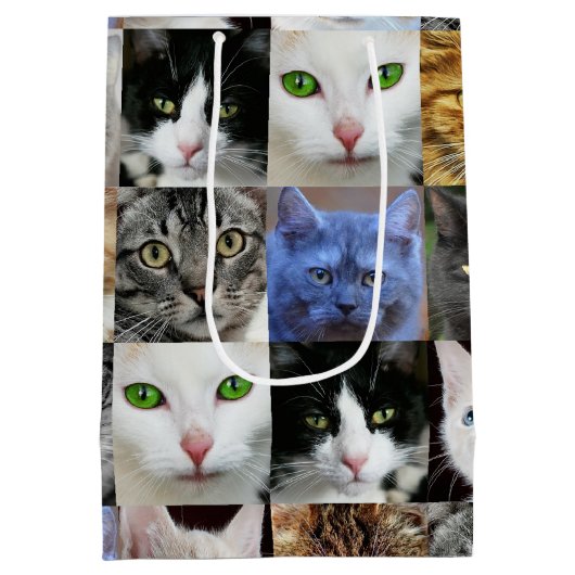 Sac Cadeau Moyen Sacs-cadeaux en papier imprimé pour chats (Dos)