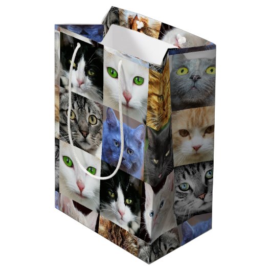 Sac Cadeau Moyen Sacs-cadeaux en papier imprimé pour chats (Dos Angle)