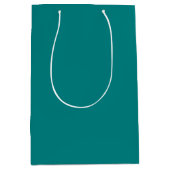 Sac Cadeau Moyen Sarcelle (Devant)