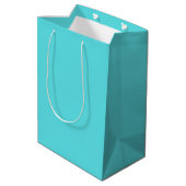Sac Cadeau Moyen Sarcelle & Diamant (Dos Angle)