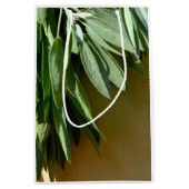 Sac Cadeau Moyen Sauge fraîchement coupée (Devant)