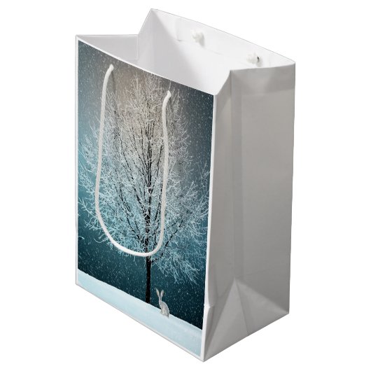 Sac Cadeau Moyen Scène hivernale (Devant Angle)