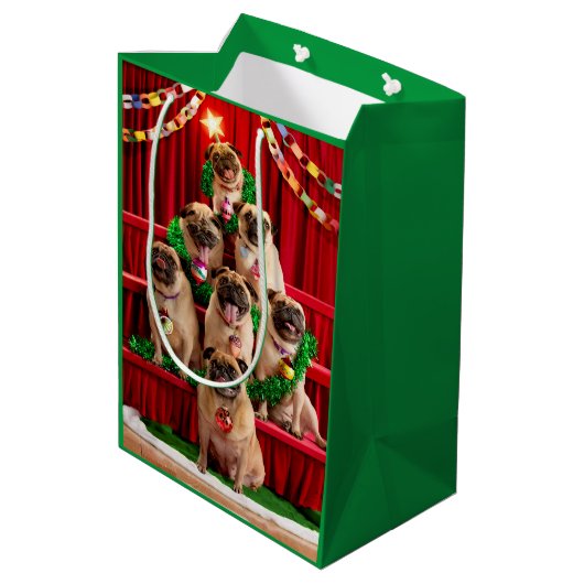 Sac Cadeau Moyen Sept Carlins-à-Poser (Dos Angle)