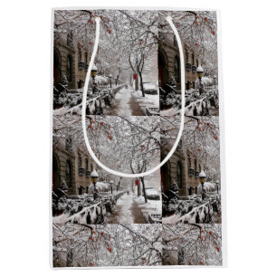 Sac Cadeau Moyen Snow Magic sur le 23ème St NYC