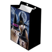 Sac Cadeau Moyen Sorcières d'Alpaca (Devant Angle)