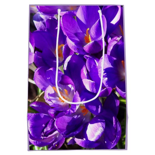 SAC CADEAU MOYEN SPRING CROCUS (Dos)