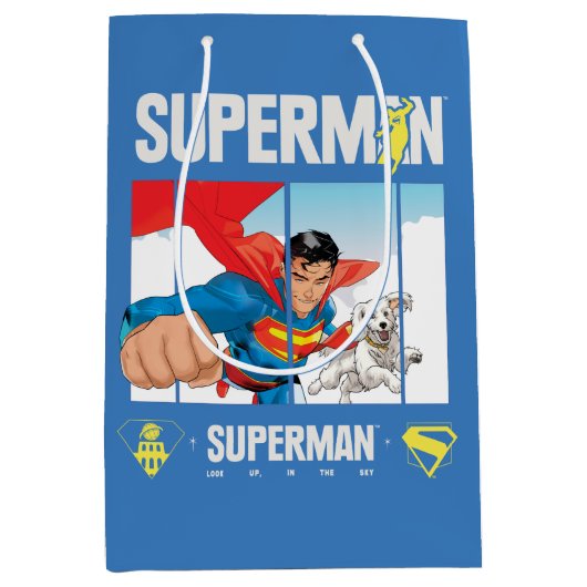 Sac Cadeau Moyen Superman et Krypto prennent l'avion (Devant)
