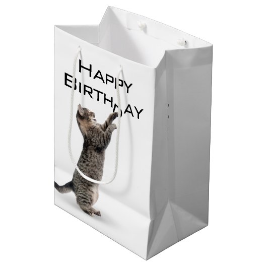 Sac Cadeau Moyen Tabby Cat d'anniversaire (Devant Angle)