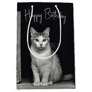 Sac Cadeau Moyen Tabby Chat d'anniversaire à la porte