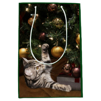 Sac Cadeau Moyen Tabby de Noël
