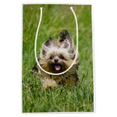 Sac Cadeau Moyen Terrier Yorkshire mignon Traversant L'Herbe (Devant)