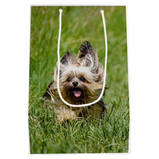Sac Cadeau Moyen Terrier Yorkshire mignon Traversant L'Herbe (Dos)