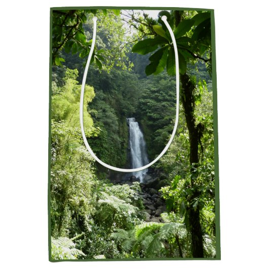 Sac Cadeau Moyen Trafalgar Falls Tropical Rainforest Photographie (Devant)
