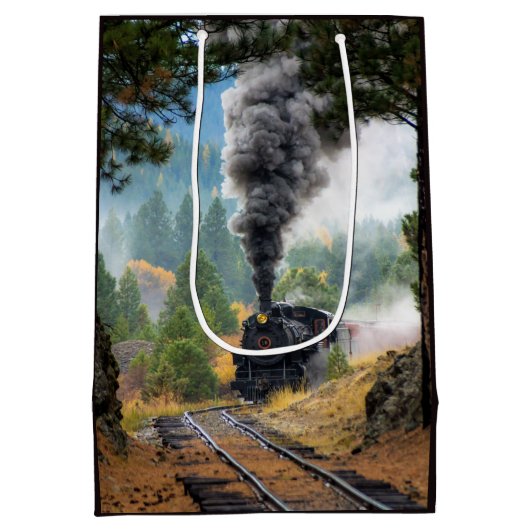 Sac Cadeau Moyen Train 19 (Dos)