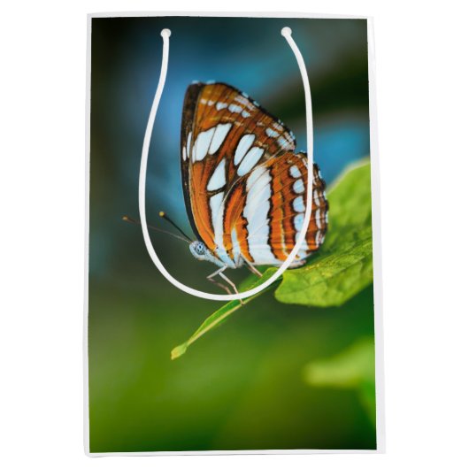 Sac Cadeau Moyen White and Orange Striped Butterfly (Devant)