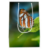 Sac Cadeau Moyen White and Orange Striped Butterfly (Dos)