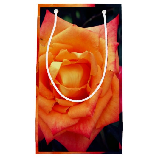 Sac cadeau Orange Rose photo (Devant)
