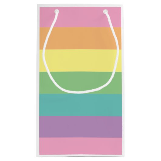 Sac cadeau Pastel Rainbow Stripe (Dos)